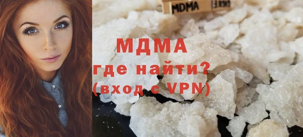 индика Алексин