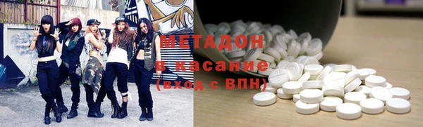 индика Алексин