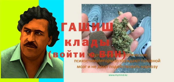 индика Алексин