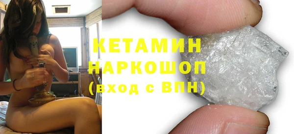 индика Алексин