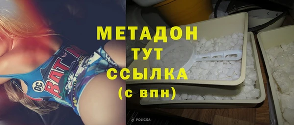 индика Алексин