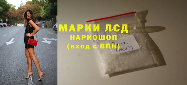 PSILOCYBIN Алзамай