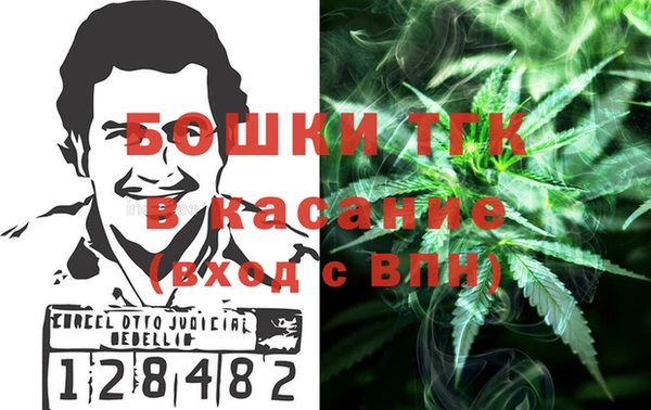 индика Алексин