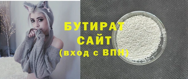 индика Алексин