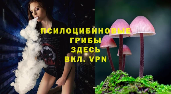 PSILOCYBIN Алзамай