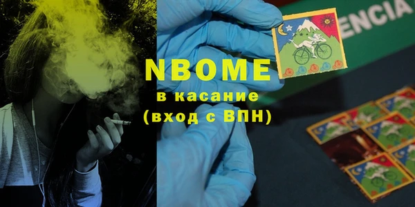 индика Алексин